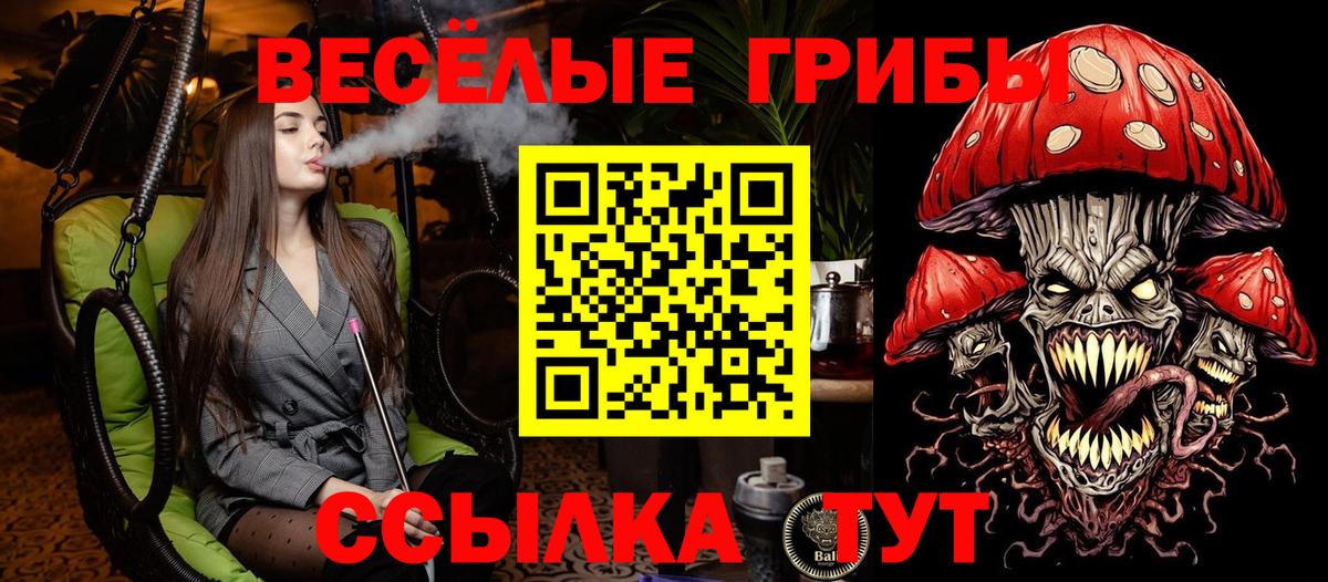 Люберцы  Галлюциногенные грибы ЛСД  Вход с VPN 
